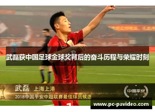 武磊获中国足球金球奖背后的奋斗历程与荣耀时刻