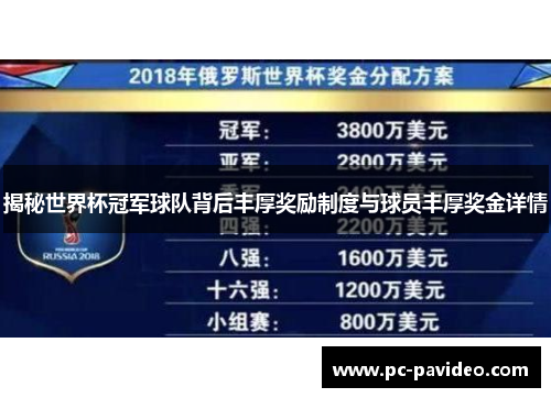 揭秘世界杯冠军球队背后丰厚奖励制度与球员丰厚奖金详情