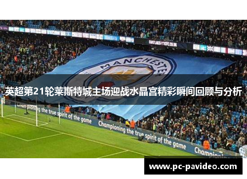英超第21轮莱斯特城主场迎战水晶宫精彩瞬间回顾与分析
