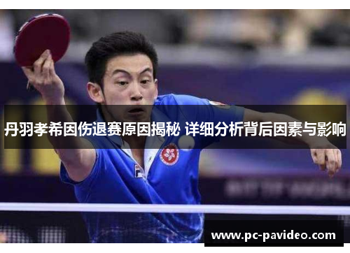 丹羽孝希因伤退赛原因揭秘 详细分析背后因素与影响 丹羽孝希因伤退赛原因揭秘 详细分析背后因素与影响