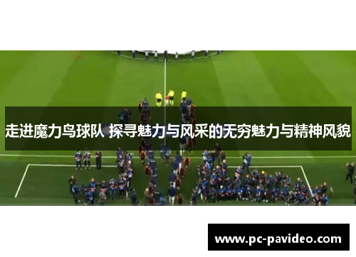 走进魔力鸟球队 探寻魅力与风采的无穷魅力与精神风貌