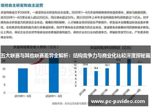 五大联赛与其他联赛差异全解析：结构竞争力与商业化比较深度探秘篇
